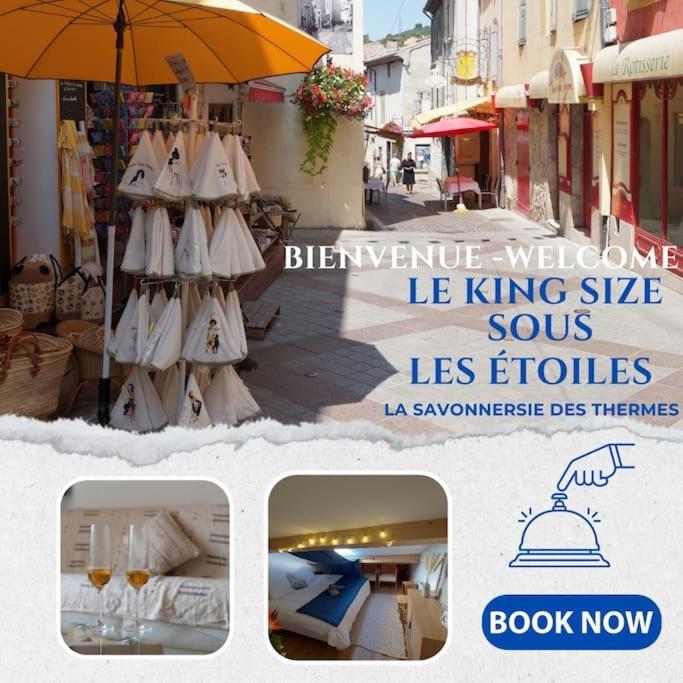Le King & Suites Etoilees Gréoux-les-Bains Exterior foto